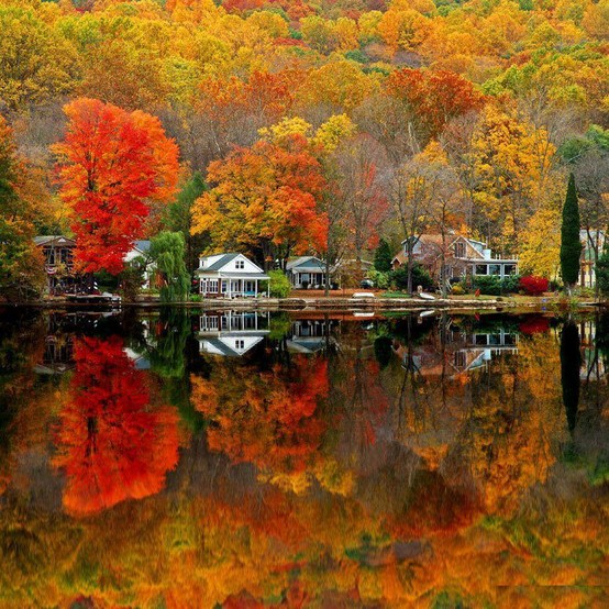 colores de otoño