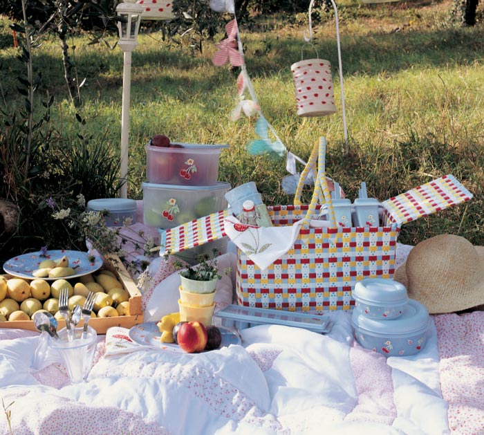 cesta picnic